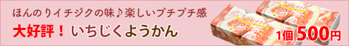 発売再開！いちじくようかん