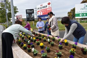 沿道の花壇を季節の花で彩る