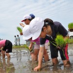 6.6三木市立三木小学校（田植え）