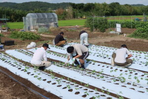 兵庫みらい塾生が農業に挑戦