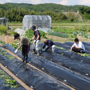 兵庫みらい塾生と新入職員が農業を体験