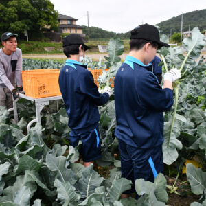 トライやるウィークで中学生が職場体験