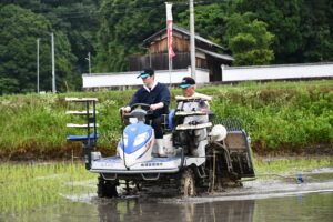 酒造会社の社員が田植えを体験