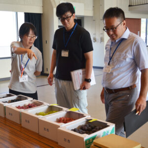 加西市ぶどう品評会が開催されました