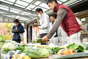 三木みらい館で冬野菜の品評会を開催
