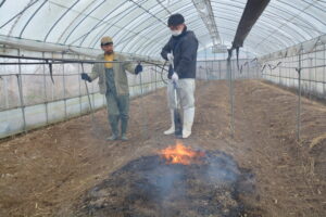 みらいちゃんアスパラ出荷に向け、冬の準備中！