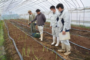 みらいちゃんアスパラ生産者の圃場巡回を実施しました