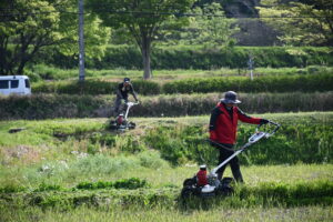 副業制度で草刈り作業を実施しました
