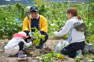 「みらいキッズ親子農業体験」を開催しました