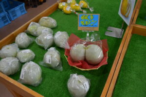 珍しい「双子メロン」が見つかりました！