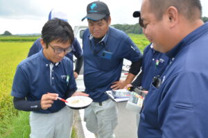 「コ・ノ・ホ・シ」の刈り取り適期診断を実施しました