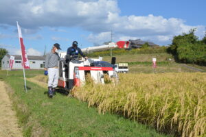 酒造会社による検見や稲刈りがおこなわれています